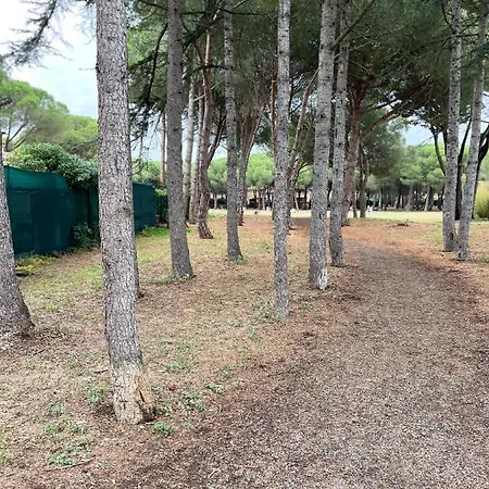 Daire T3 2 Chambres. Agde